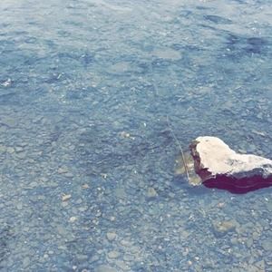 Meet your Posher, Lizzy